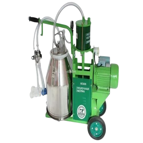 Cicciolina italyan porno videolar