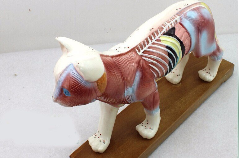 Jinsiy orgiya haqida barcha videolar