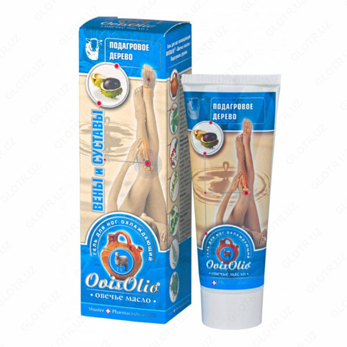 Kievdagi transseksuallar