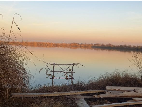 Рыбное хозяйство Toshkentda, O'zbekistonda, narxi 3122416620 so'm OOO DARI SOLNCA korxonasidan - Prom.uz (ID#1289954)