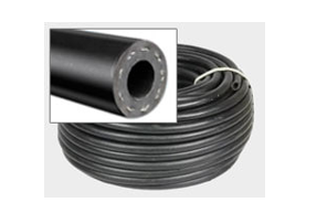 Kokraklar mushuk vay