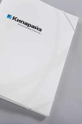 Фирменная папка с логотипом кипарайз