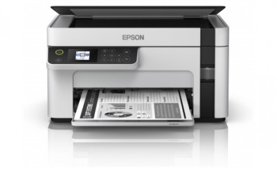 Монохромный принтер Epson M2120