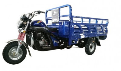 Трехколесный грузовой мотоцикл 200 CC марки DAYANG