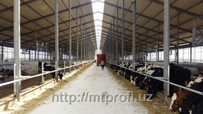 Животноводческий молочно-товарный комплексы