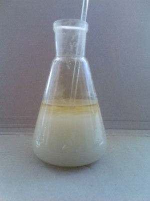 Модифицированный полимерный реагент «TNGGS»
